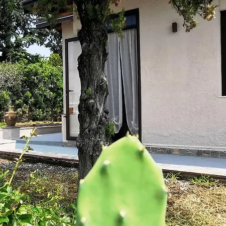 Eufemia Педара