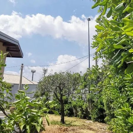 Eufemia * Педара